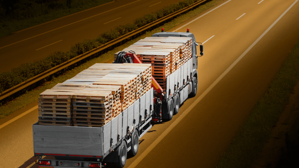 Global Pallet Trucks Market Size