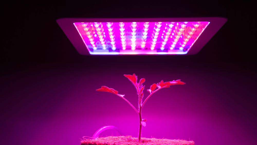 Insights Into The LED Grow Light Market’s Growth Opportunities Through 2023-2032 – Includes LED Grow Light Market Report
