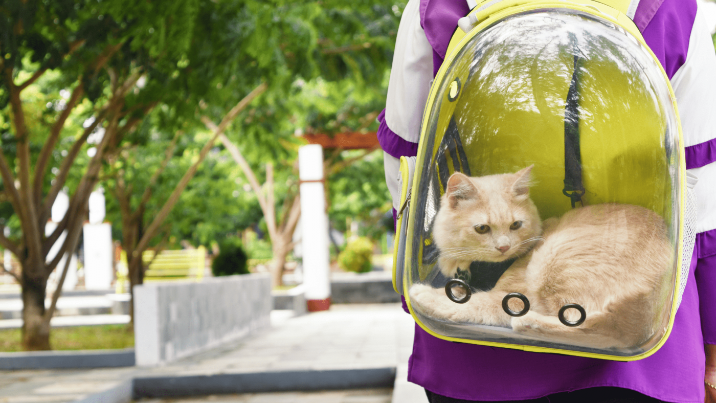 Insights Into The Pet Carriers Market’s Growth Opportunities Through 2023-2032 – Includes Pet Carriers Market Size
