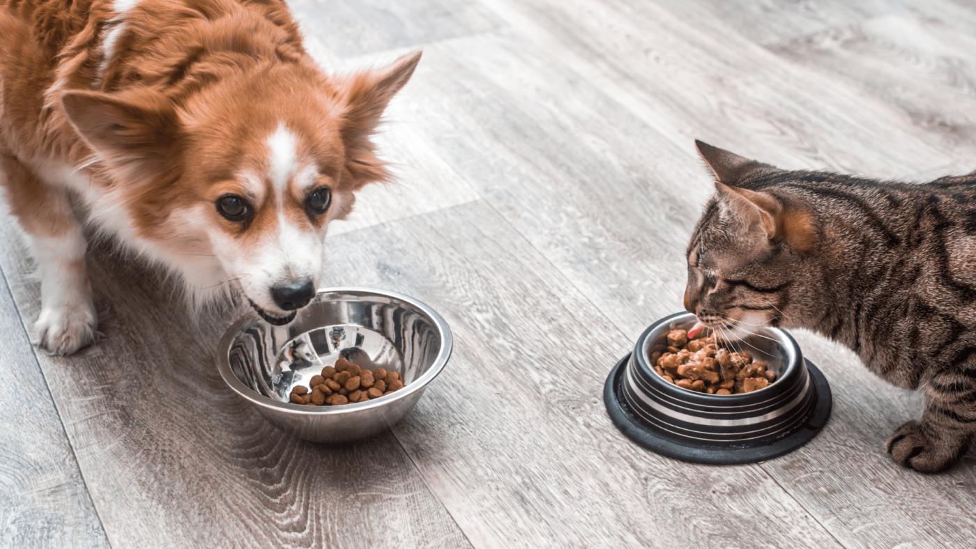 Insights Into The Dog And Cat Food Market’s Growth Opportunities Through 2023-2032 – Includes Dog And Cat Food Market Share