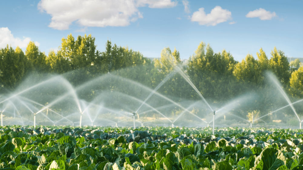 Water Supply And Irrigation Systems Market Size