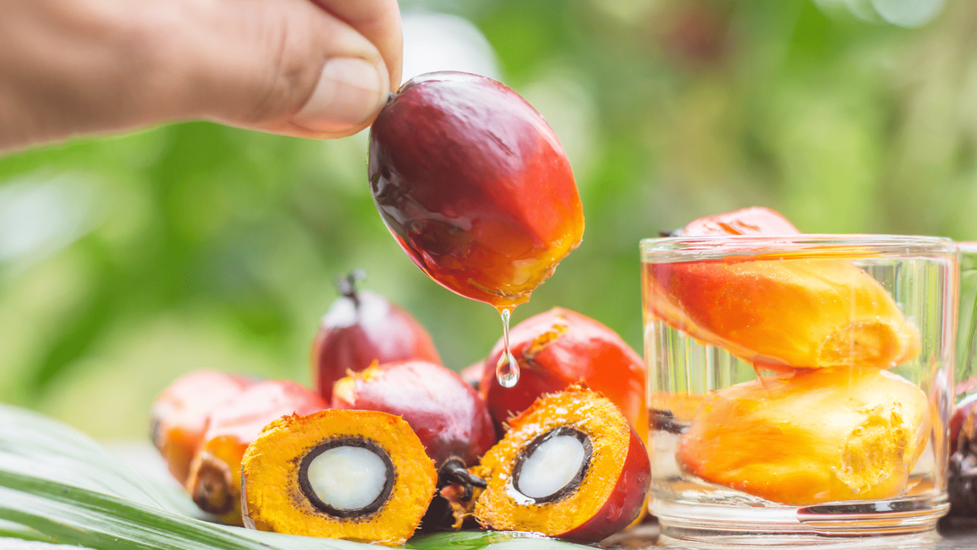 Insights Into The Palm Oil Market’s Growth Opportunities Through 2023-2032 – Includes Palm Oil Market Outlook