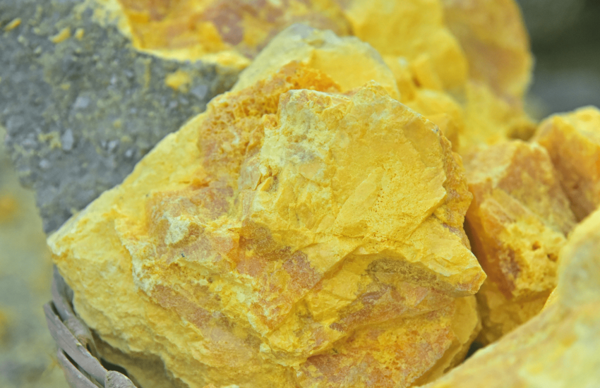 Global Insoluble Sulfur Market Size