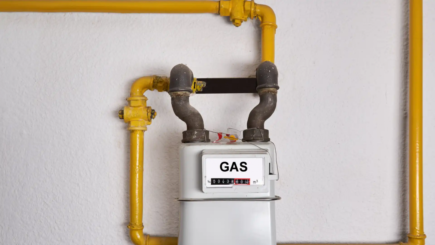 Global Rotary Gas Meter Market Size, Drivers, Trends, Opportunities And Strategies – Includes Rotary Gas Meter Market Share