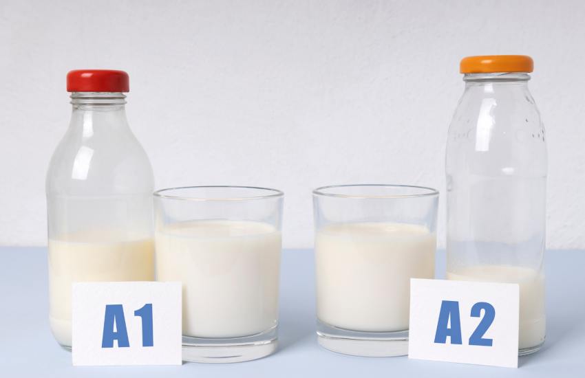 Global A2 Milk Market