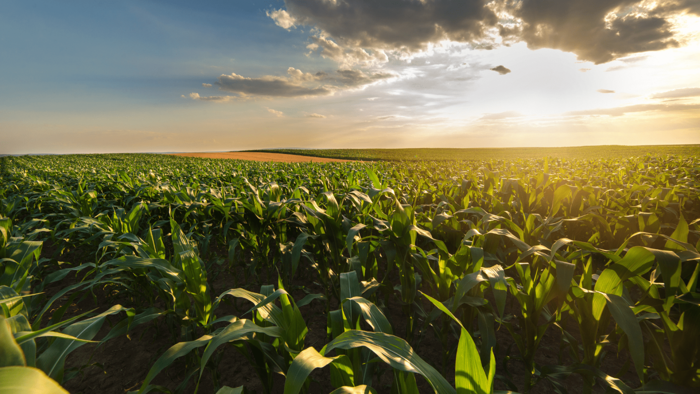 Insights Into The Agricultural Coatings Market’s Growth Opportunities Through 2023-2032 – Includes Agricultural Coatings Market Size
