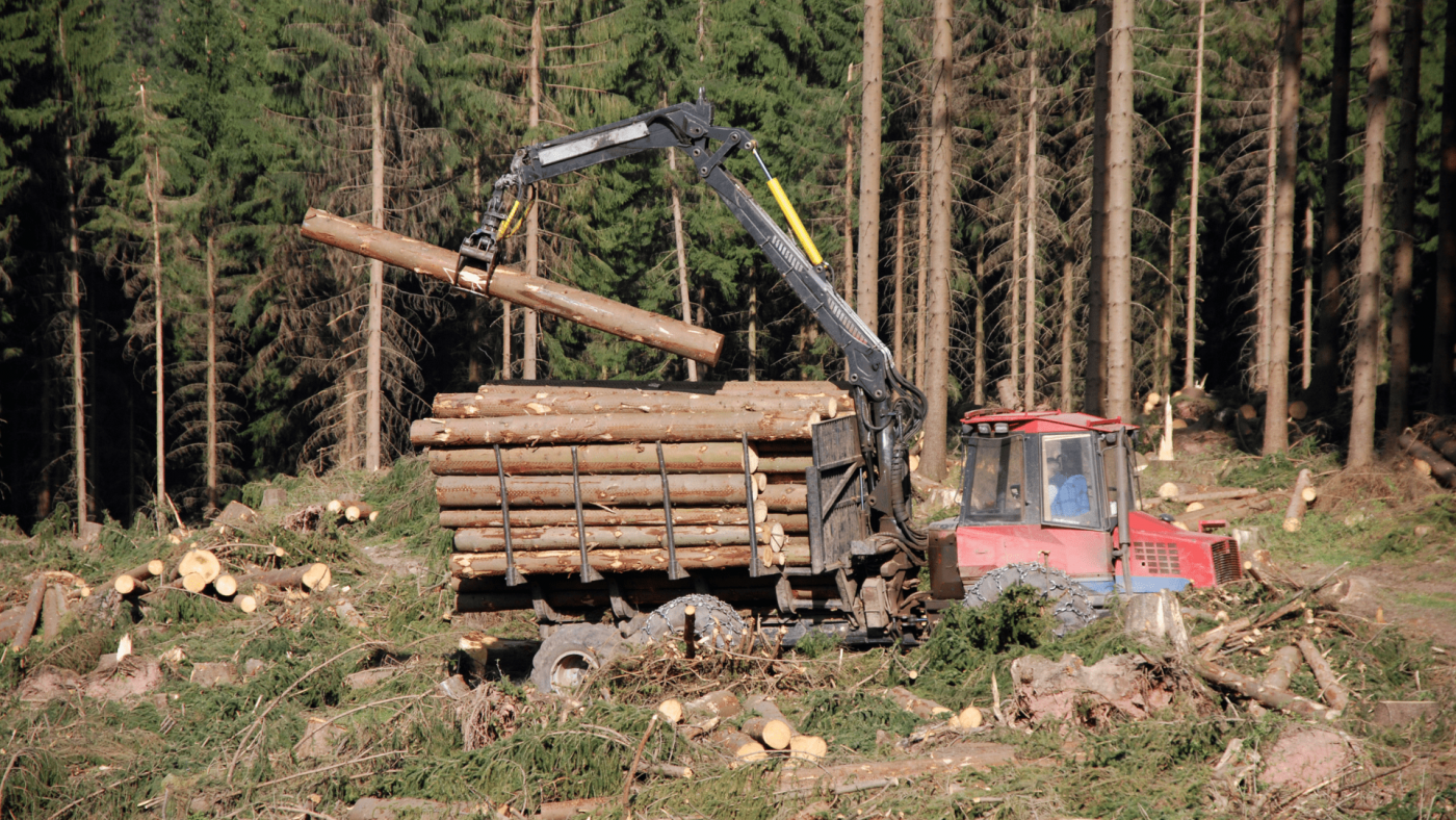 forestry machinery market