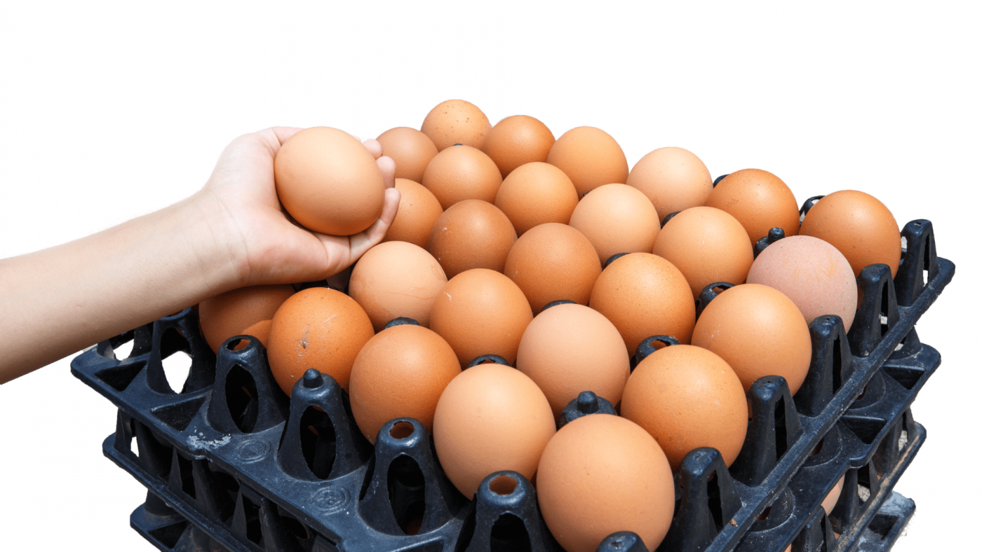 Global Egg Tray Market Size, Drivers, Trends, Opportunities And Strategies – Includes Egg Tray Market Report