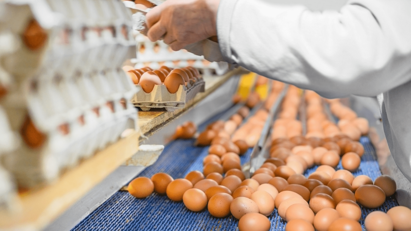 Insights Into The Processed Eggs Market’s Growth Opportunities Through 2023-2032 – Includes Processed Eggs Market Size
