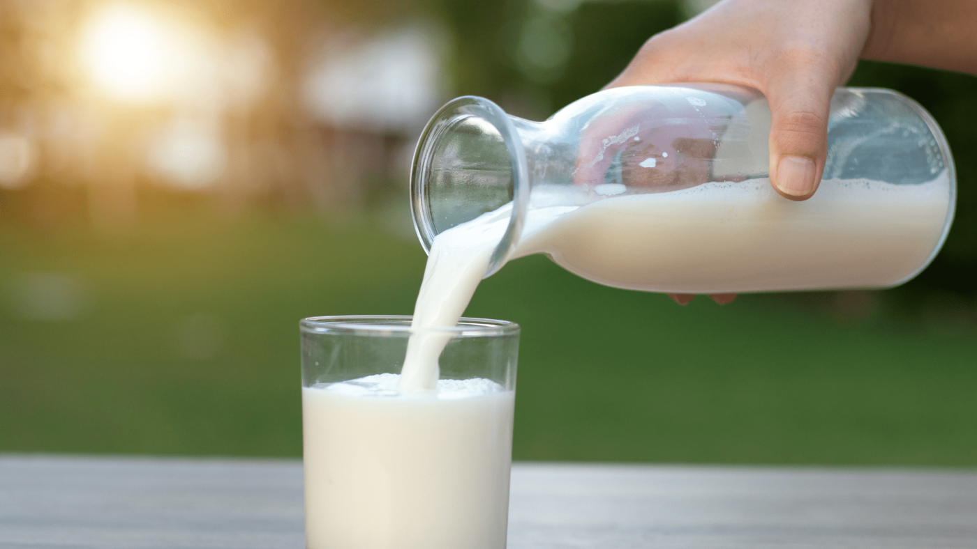 Global Milk Replacers Market