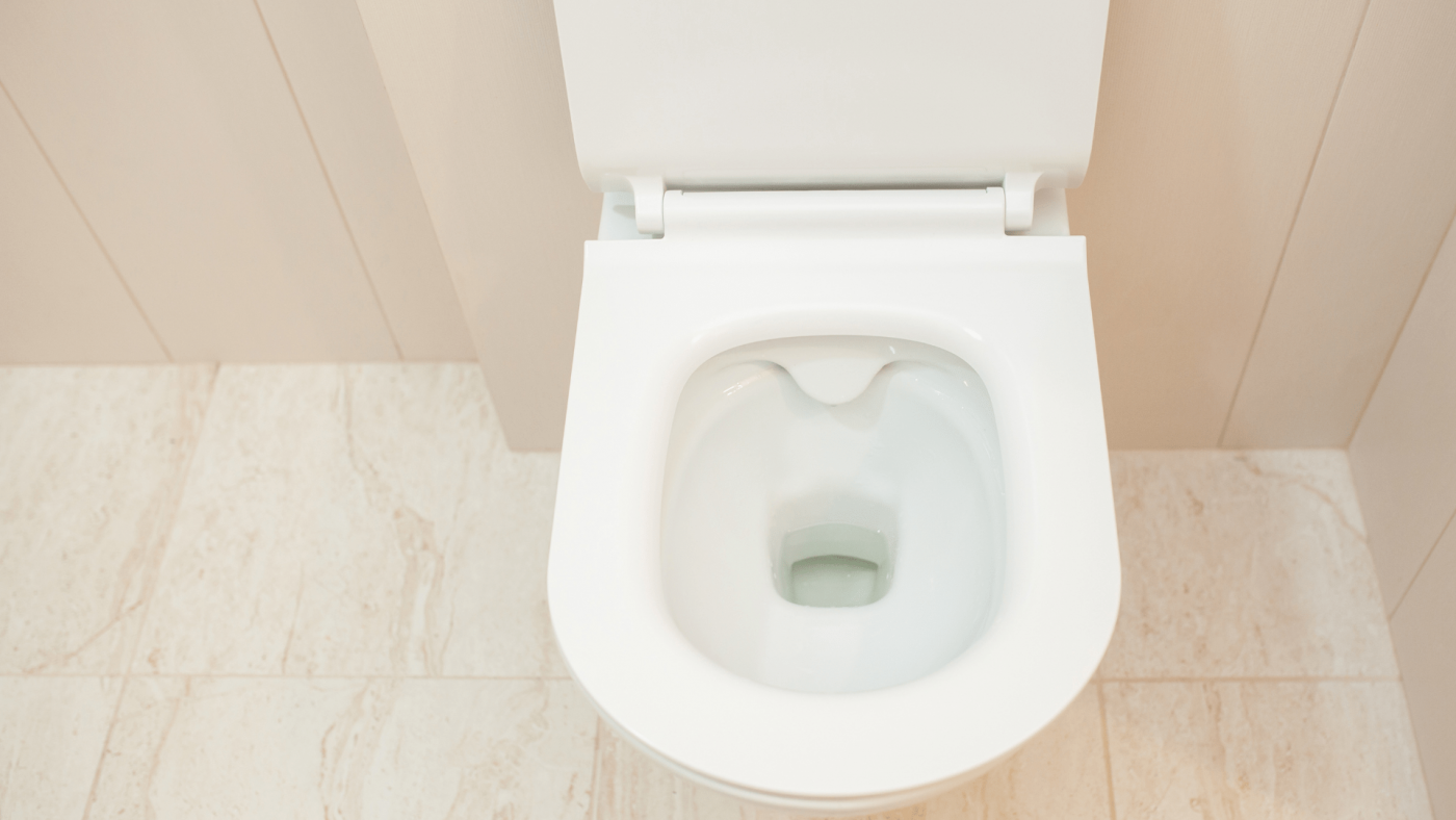The Rimless Toilets Market Is Estimated To Reach 18.37 Billion By 2027 At A CAGR Of 2.05 % – Includes Rimless Toilets Market Share