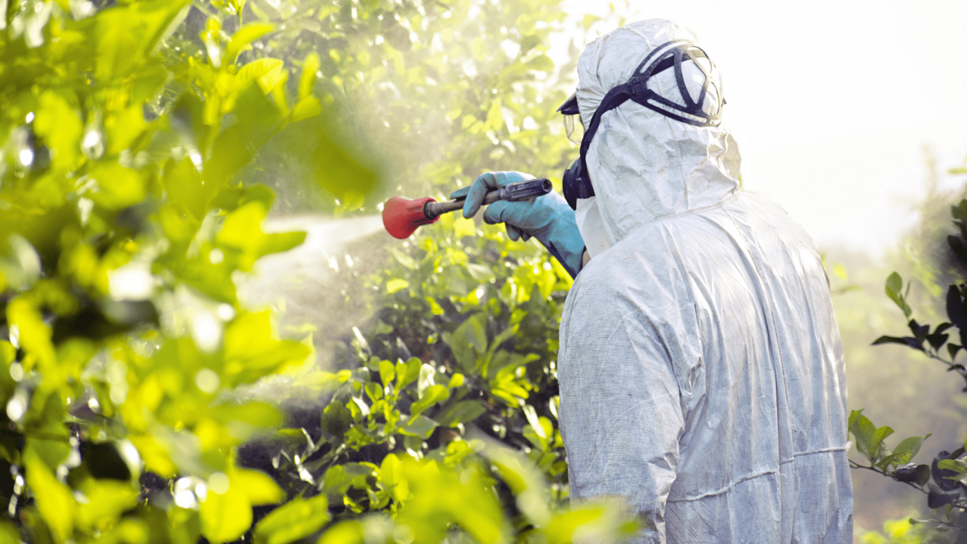 Global Herbicides Safener Market