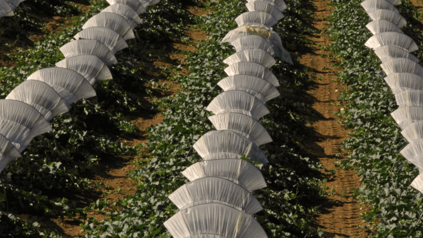 What Will The Food Crops Grown Under Cover Market Look Like In 2023? – Includes Food Crops Grown Under Cover Market Report