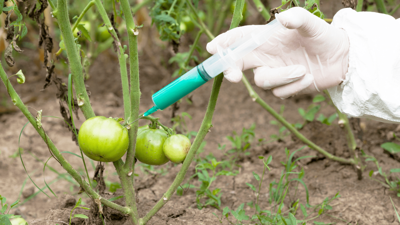 How Will The Genetically Modified Vegetables Market Globally Expand In 2023? – Includes Genetically Modified Vegetables Market Size