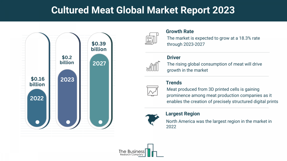 Exploring the Projected Growth of the Cultured Meat Market from 2023 to 2032