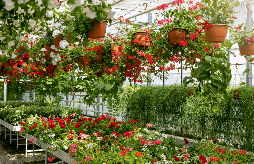 Greenhouse, Nursery, And Flowers Market Size