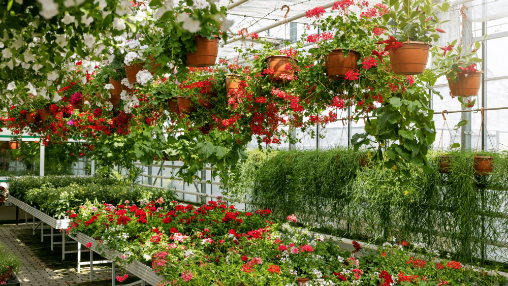 Global Greenhouse, Nursery, And Flowers Market Analysis: Size, Drivers, Trends, Opportunities And Strategies