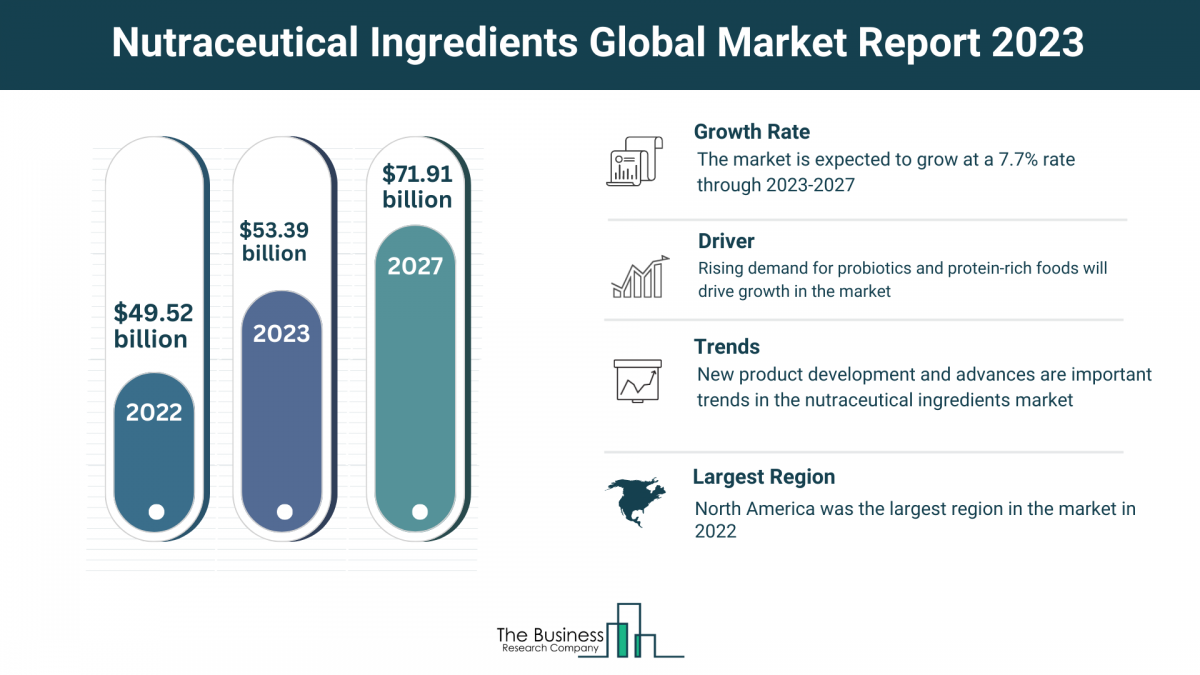 Global Nutraceutical Ingredients Market Forecast 2023-2032: Estimated Market Size And Growth Rate