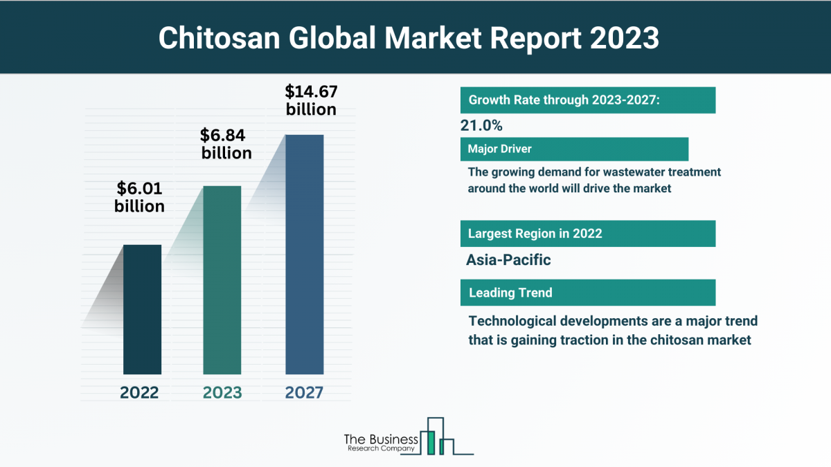 Estimated Growth Potential Of The Chitosan Market 2023-2032