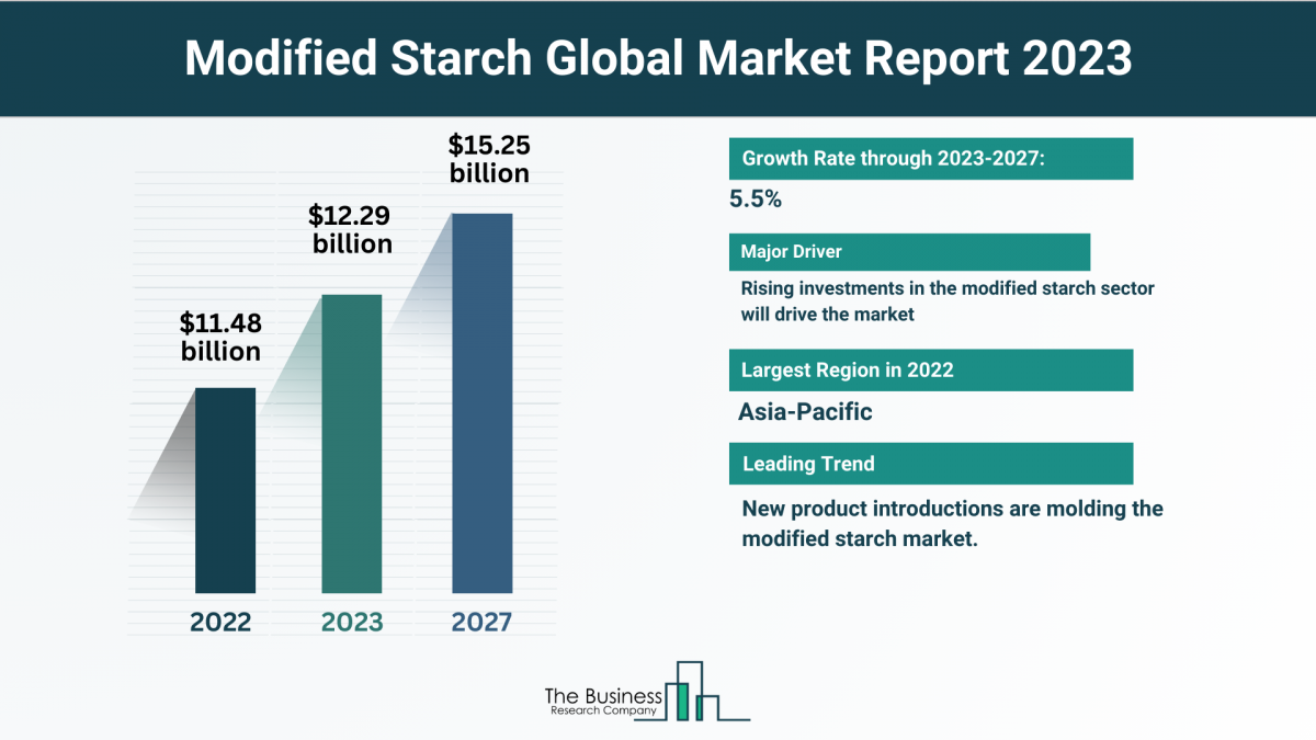 Insights Into The Modified Starch Market’s Growth Potential 2023-2032