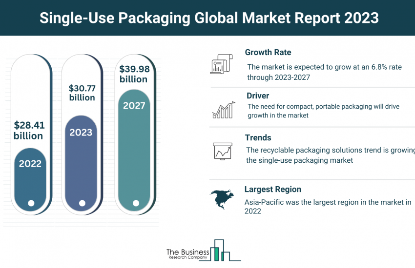 Global Single-Use Packaging Market