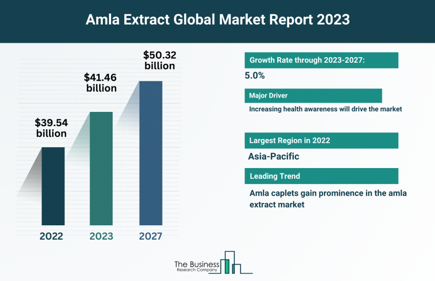 Global Amla Extract Market
