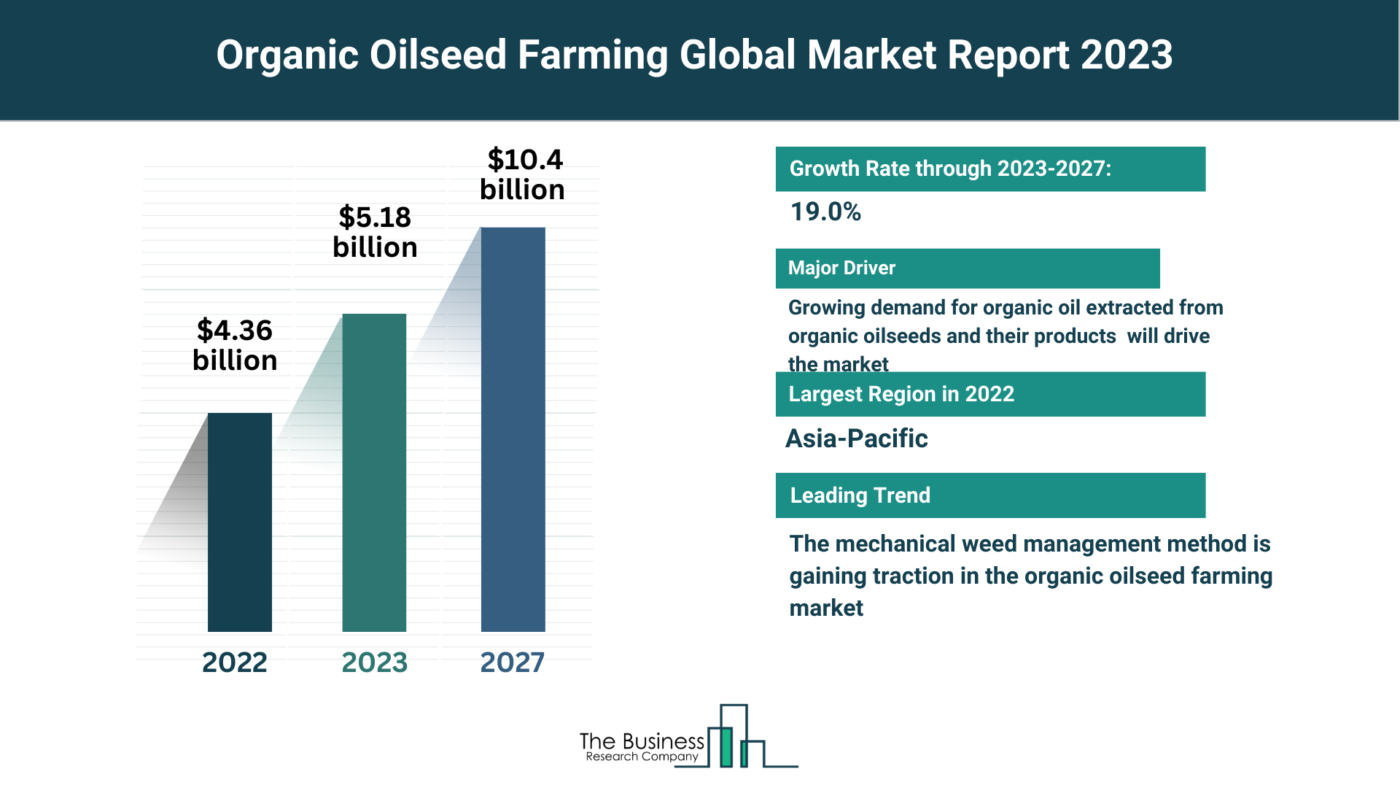 Global Organic Oilseed Farming Market Analysis: Size, Drivers, Trends, Opportunities And Strategies