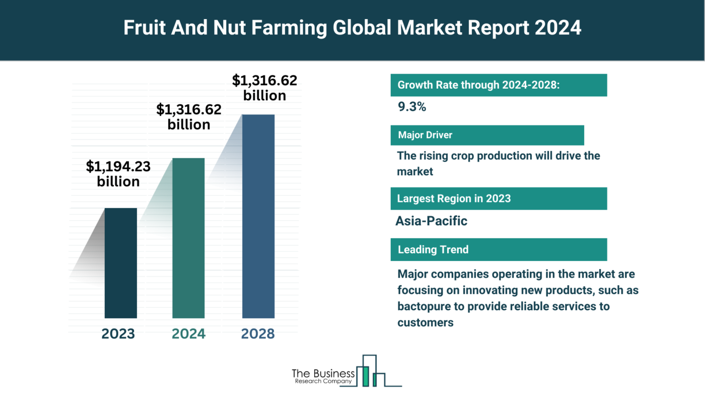 Understand How The Fruit And Nut Farming Market Is Set To Grow In Through 2024-2033
