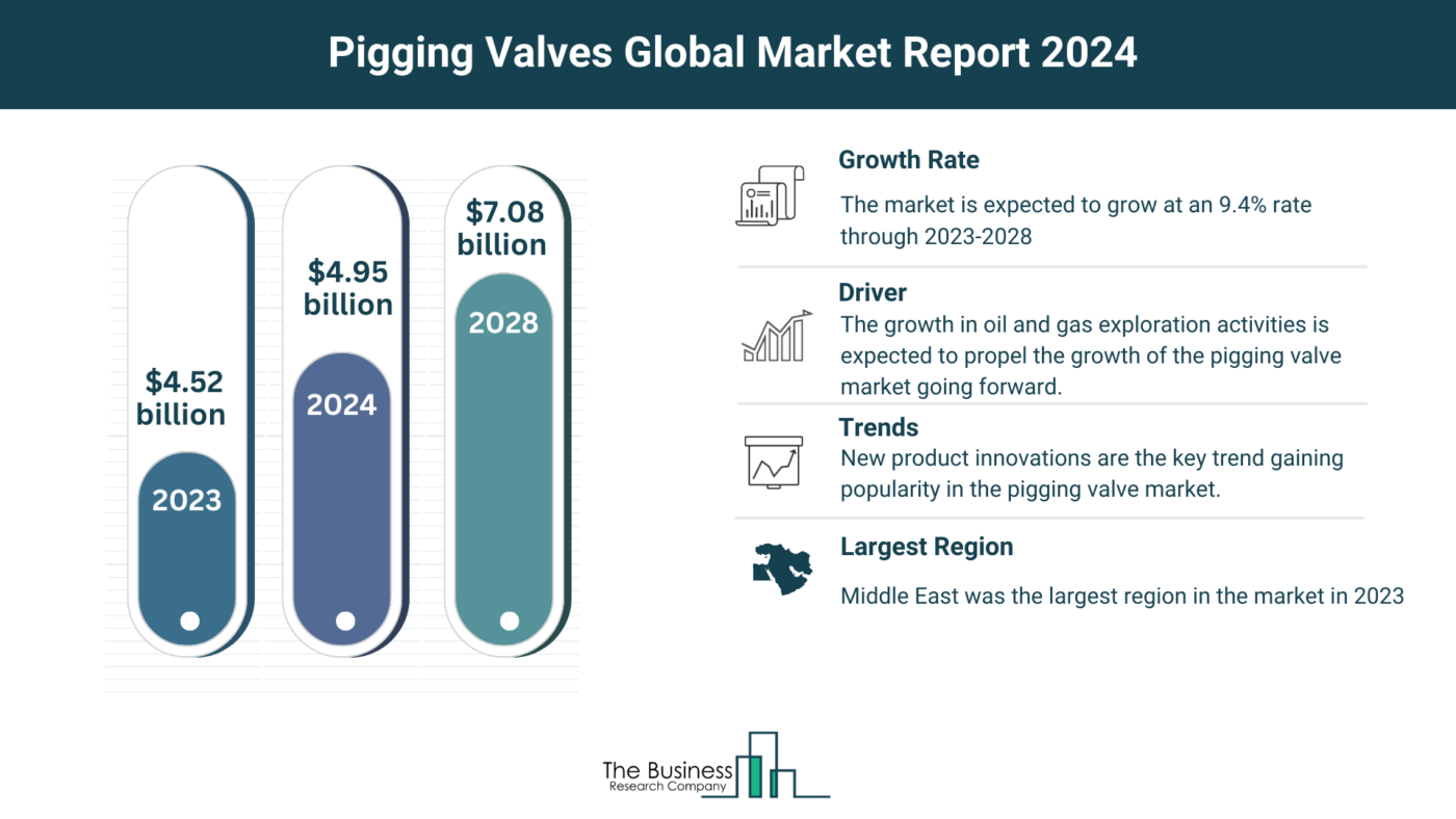 Understand How The Pigging Valves Market Is Set To Grow In Through 2024-2033