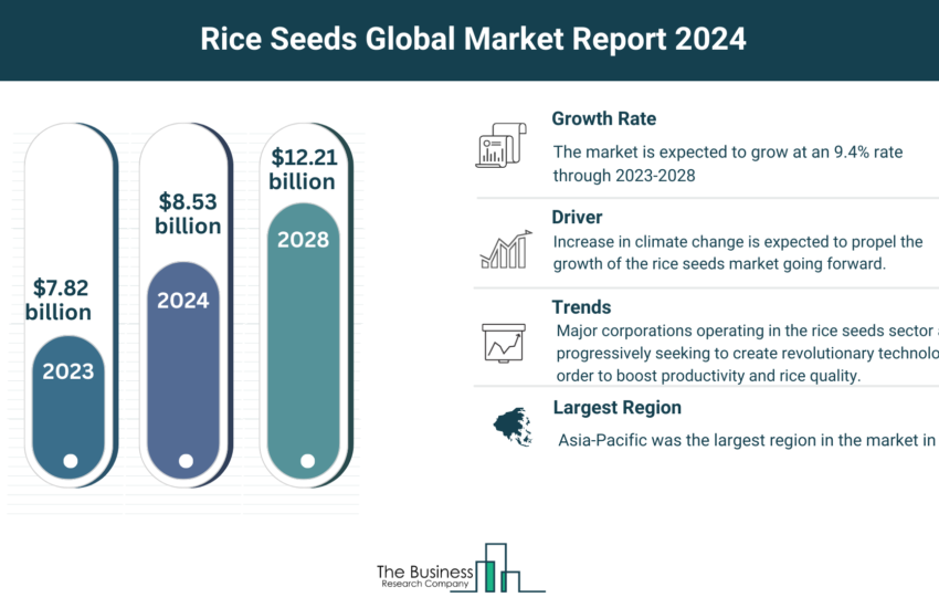 Rice Seeds Market
