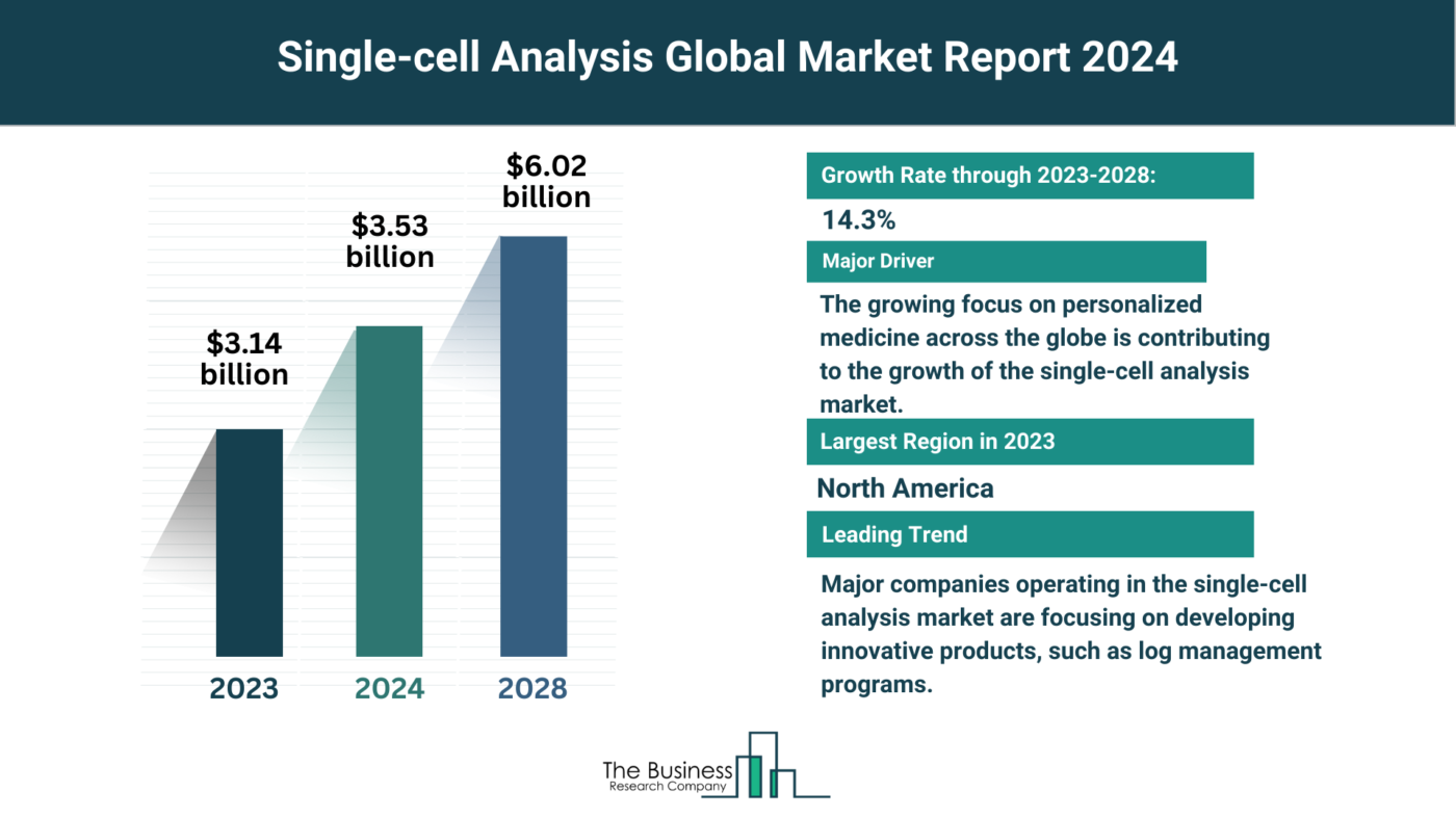 What Are The 5 Takeaways From The Single-Cell Analysis Market Overview 2024