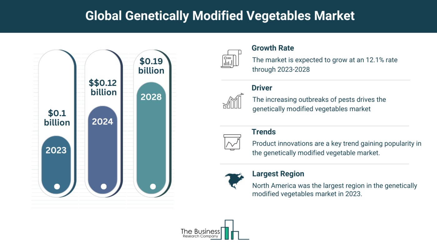 5 Key Takeaways From The Genetically Modified Vegetables Market Report 2024