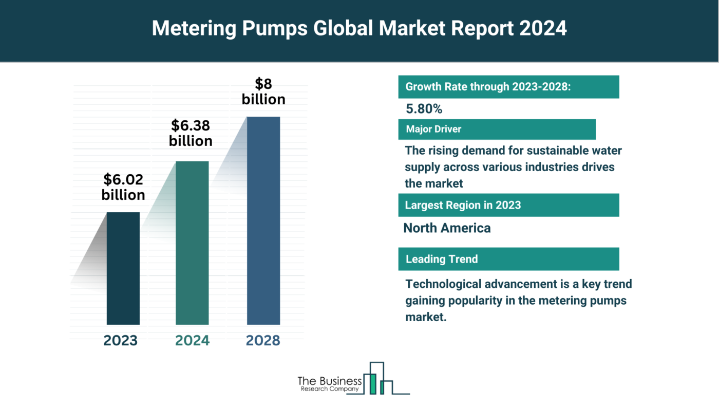 Understand How The Metering Pumps Market Is Set To Grow In Through 2024-2033