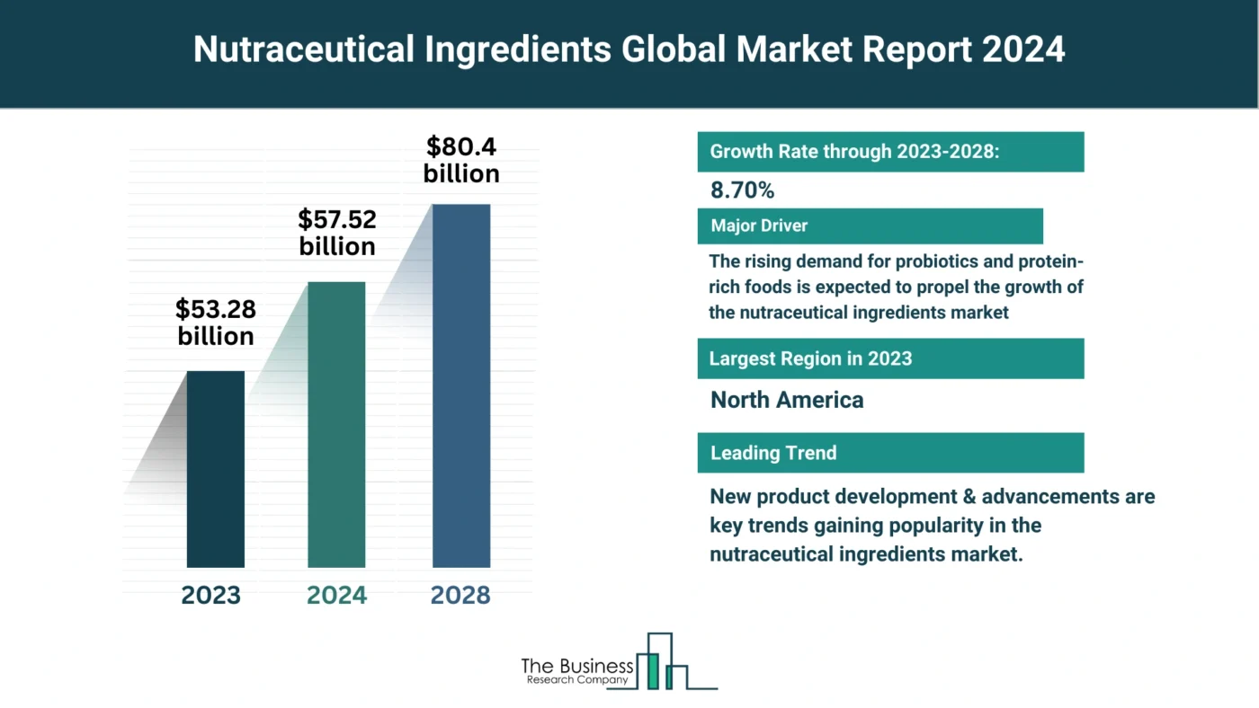 Global Nutraceutical Ingredients Market Forecast 2024-2033: Estimated Market Size And Growth Rate