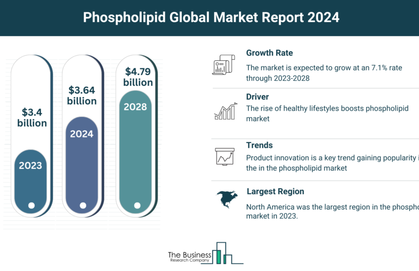 Global Phospholipid Market