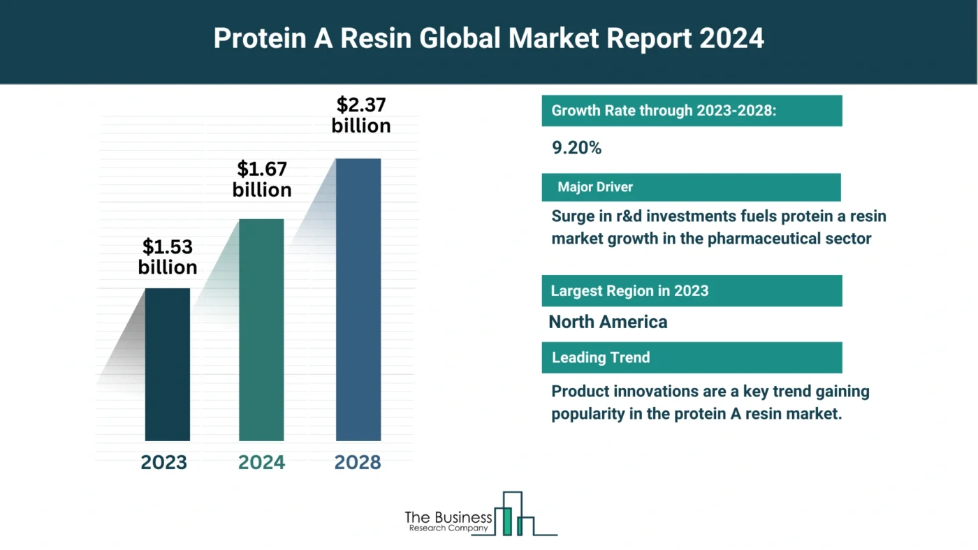 Insights Into The Protein A Resin Market’s Growth Potential 2024-2033