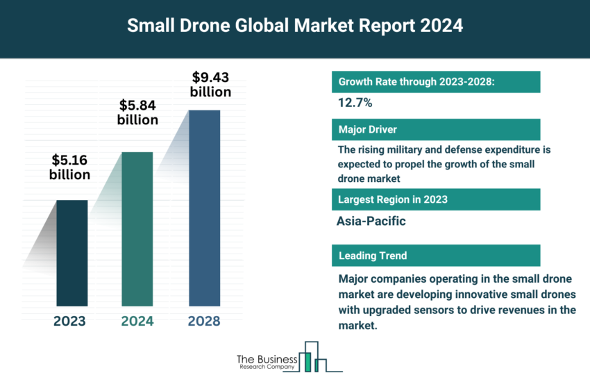 Global Small Drone Market