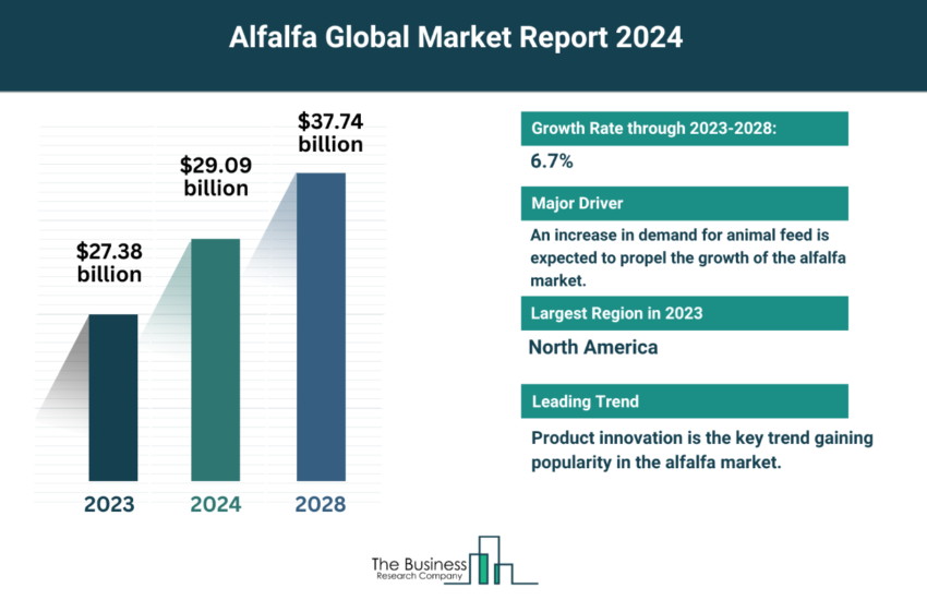 Global Alfalfa Market Size