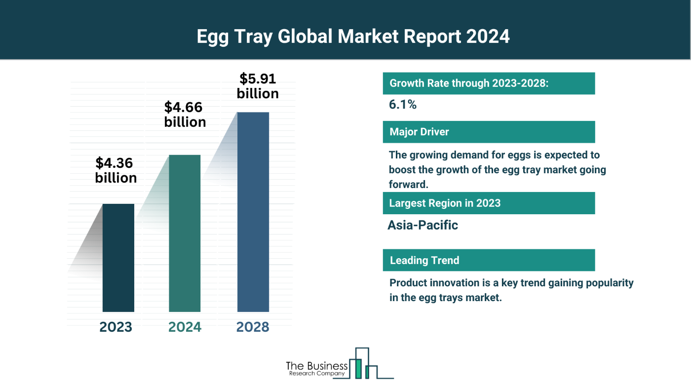 Global Egg Tray Market Forecast 2024-2033: Estimated Market Size And Growth Rate
