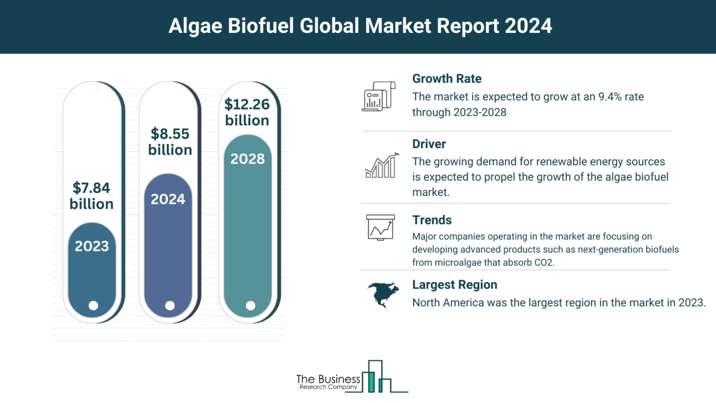 Global Algae Biofuel Market Forecast 2024-2033: Estimated Market Size And Growth Rate