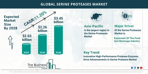 Estimated Growth Potential Of The Serine Proteases Market 2024-2033