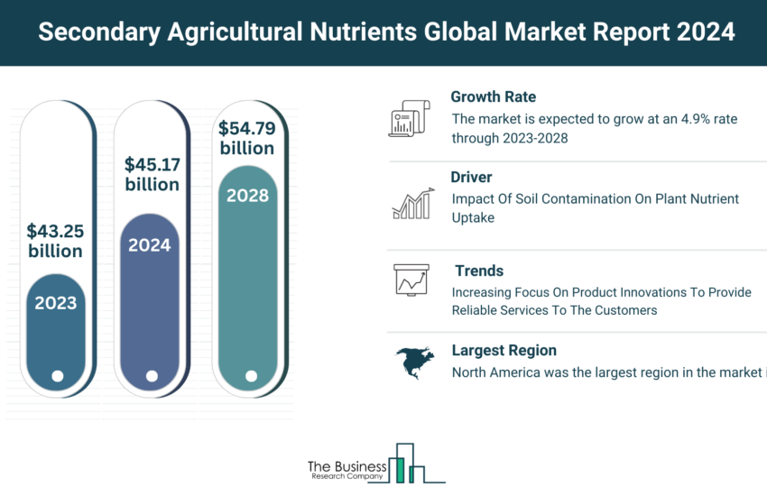 Global Secondary Agricultural Nutrients Market,