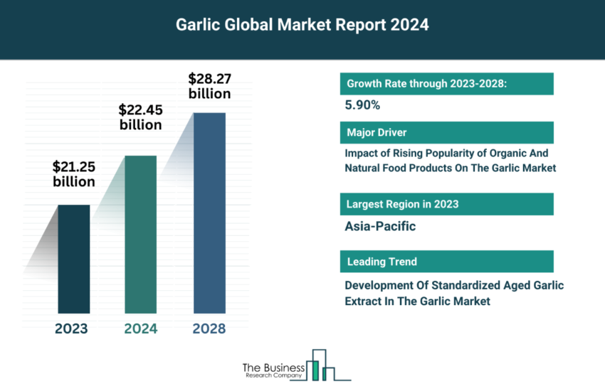 Global Garlic Market