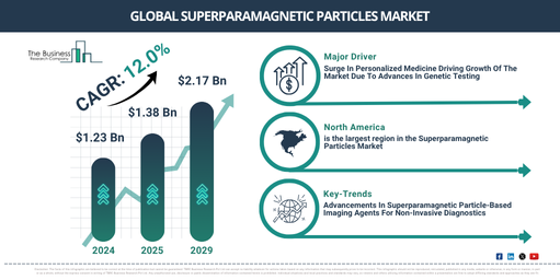 Global Superparamagnetic Particles Market
