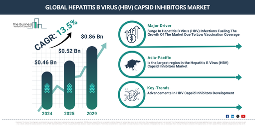 Global Hepatitis B Virus (HBV) Capsid Inhibitors Market Report 2025–2034: Key Forecasts and Growth Areas