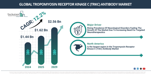 Tropomyosin Receptor Kinase C (TrkC) Antibody Market Forecast 2025–2034: Data Trends and Industry Insights